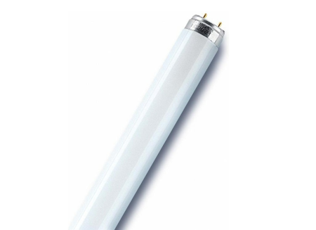 Лампа Osram L30W/76 (розовый)